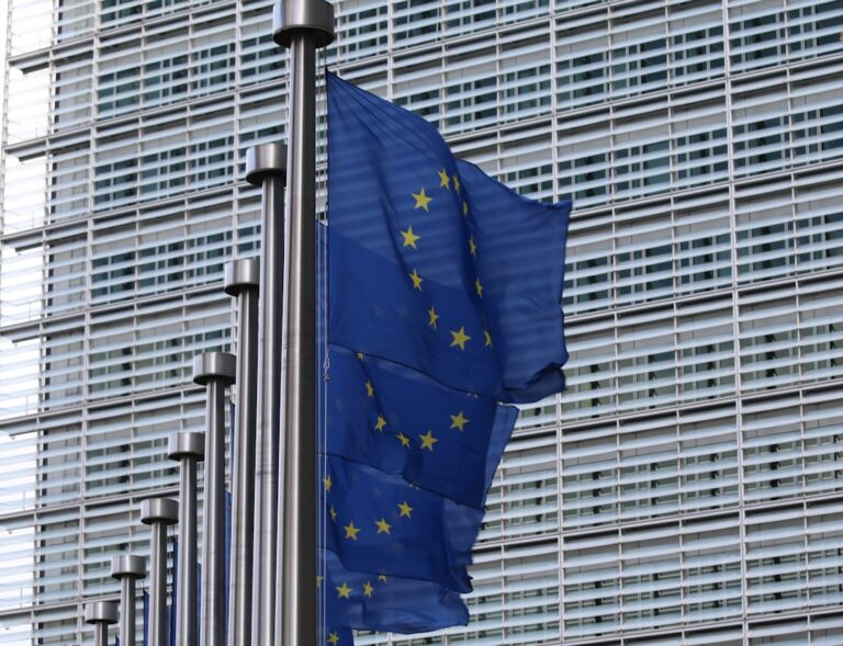 Photo EU flag