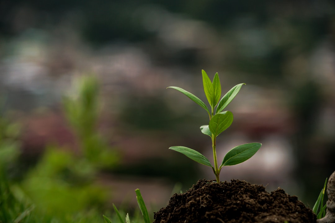 Photo Investing in sustainable company stocks